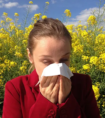 Allergies